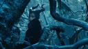 Maleficent - Winter im Feenreich